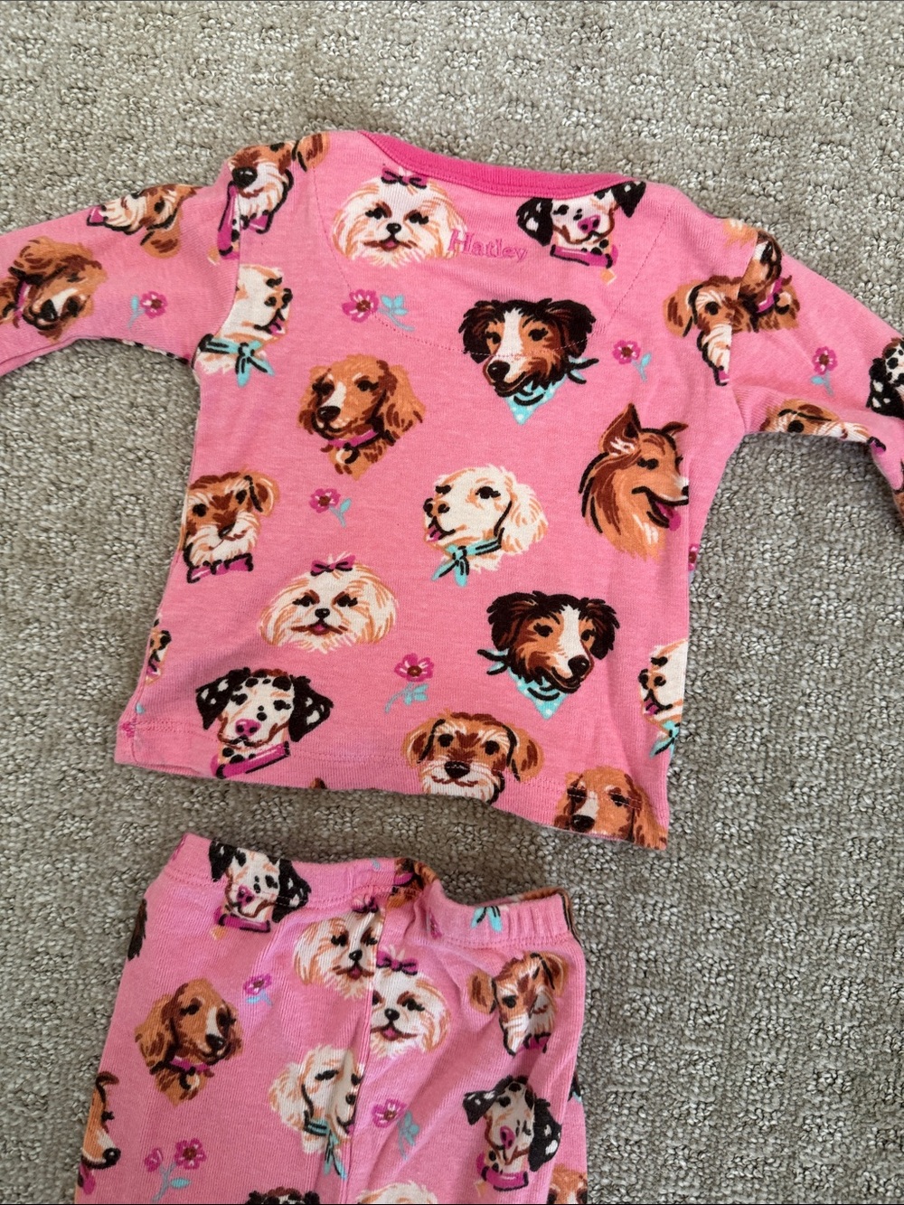 Hatley Dog PJs - Picture 5 of 5